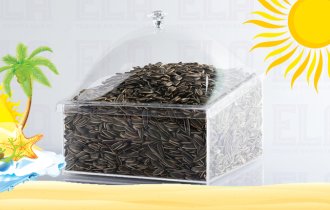 Eğimli Kare Kutu